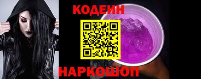 индика Сланцы