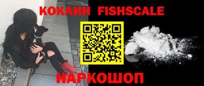 индика Сланцы