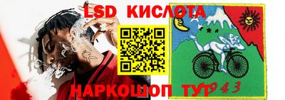 индика Сланцы