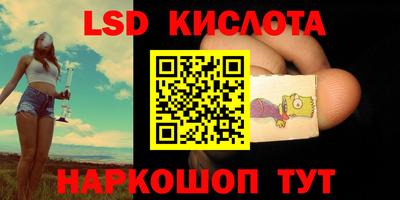 индика Сланцы