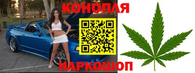 индика Сланцы