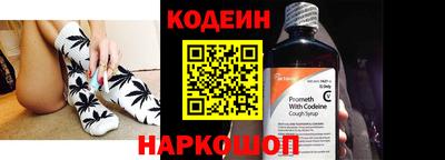 индика Сланцы