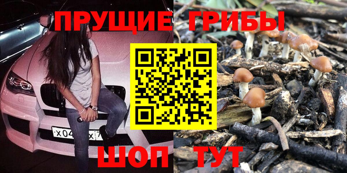 Псилоцибиновые грибы Magic Shrooms Нижневартовск